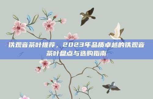 铁观音茶叶推荐，2023年品质卓越的铁观音茶叶盘点与选购指南