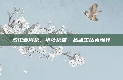 微沱普洱茶，小巧茶香，品味生活新境界