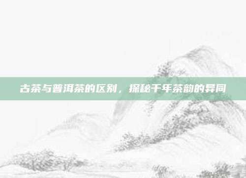 古茶与普洱茶的区别，探秘千年茶韵的异同