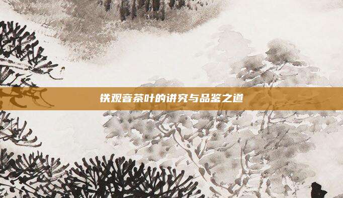 铁观音茶叶的讲究与品鉴之道