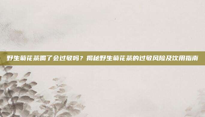野生菊花茶喝了会过敏吗？揭秘野生菊花茶的过敏风险及饮用指南