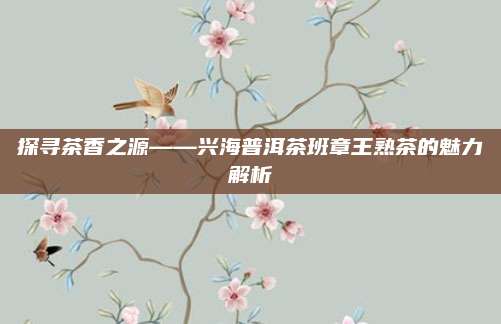 探寻茶香之源——兴海普洱茶班章王熟茶的魅力解析