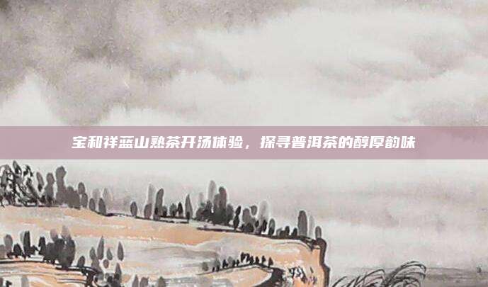 宝和祥蓝山熟茶开汤体验，探寻普洱茶的醇厚韵味