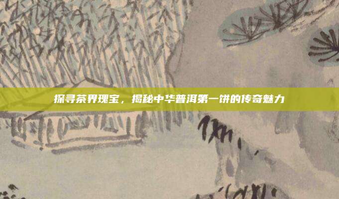 探寻茶界瑰宝,揭秘中华普洱第一饼的传奇魅力
