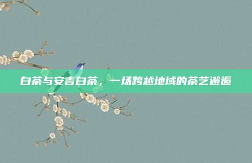白茶与安吉白茶,一场跨越地域的茶艺邂逅