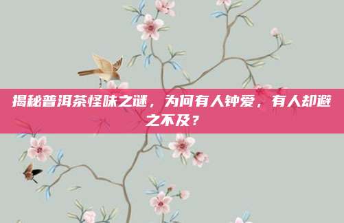揭秘普洱茶怪味之谜，为何有人钟爱，有人却避之不及？