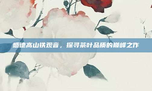 感德高山铁观音,探寻茶叶品质的巅峰之作