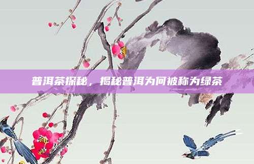 普洱茶探秘,揭秘普洱为何被称为绿茶