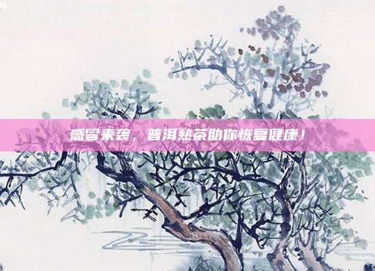 感冒来袭，普洱熟茶助你恢复健康！