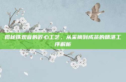 揭秘铁观音的匠心工艺，从采摘到成茶的精湛工序解析