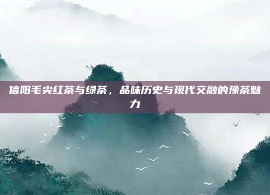 信阳毛尖红茶与绿茶，品味历史与现代交融的豫茶魅力