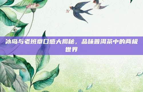 冰岛与老班章口感大揭秘,品味普洱茶中的两极世界