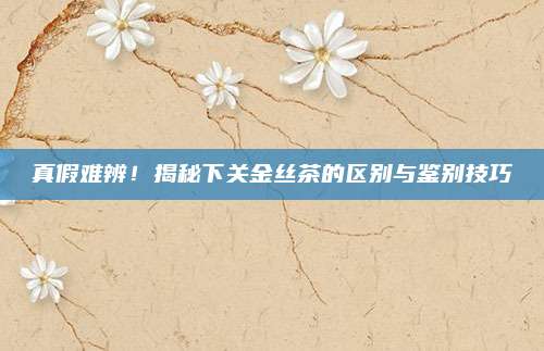 真假难辨！揭秘下关金丝茶的区别与鉴别技巧