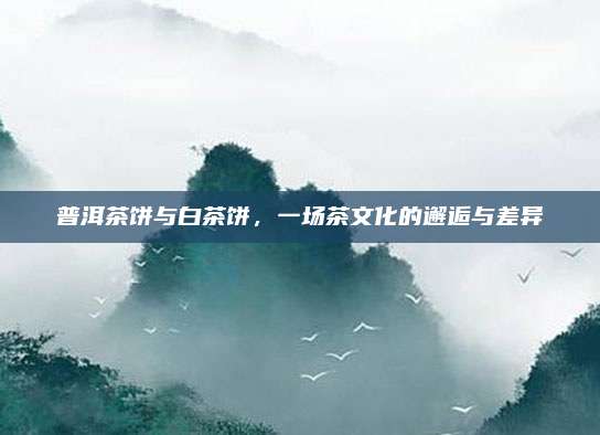 普洱茶饼与白茶饼，一场茶文化的邂逅与差异