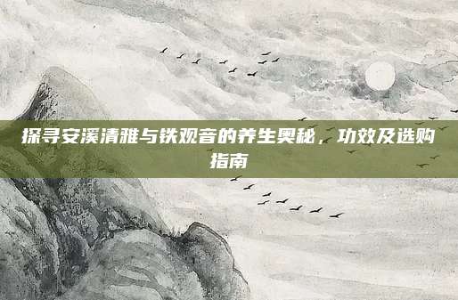 探寻安溪清雅与铁观音的养生奥秘，功效及选购指南