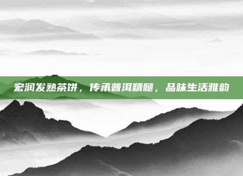 宏润发熟茶饼，传承普洱精髓，品味生活雅韵