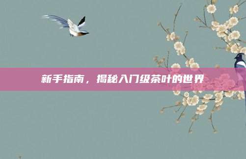 新手指南，揭秘入门级茶叶的世界