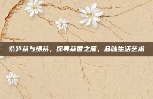 紫笋茶与绿茶,探寻茶香之源,品味生活艺术