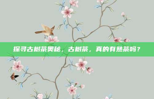探寻古树茶奥秘，古树茶，真的有熟茶吗？