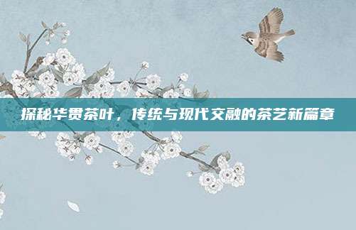 探秘华贯茶叶，传统与现代交融的茶艺新篇章