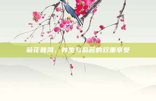 菊花普洱，养生与品茗的双重享受
