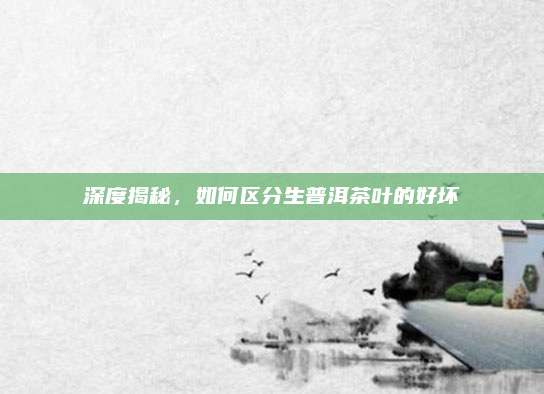 深度揭秘，如何区分生普洱茶叶的好坏