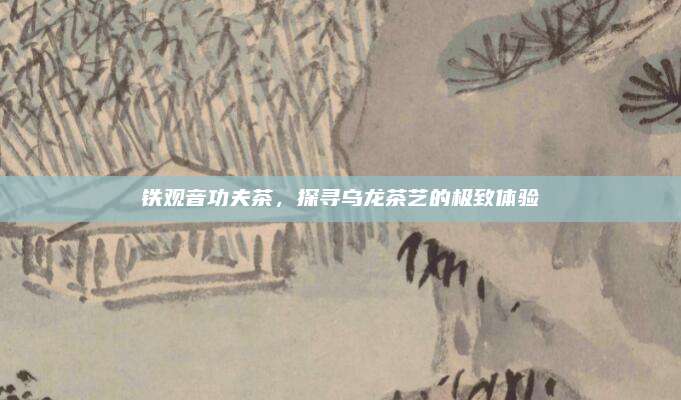 铁观音功夫茶，探寻乌龙茶艺的极致体验