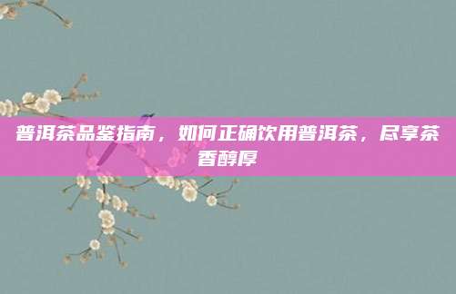 普洱茶品鉴指南，如何正确饮用普洱茶，尽享茶香醇厚