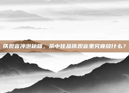 铁观音冲泡秘籍，茶中佳品铁观音里究竟放什么？