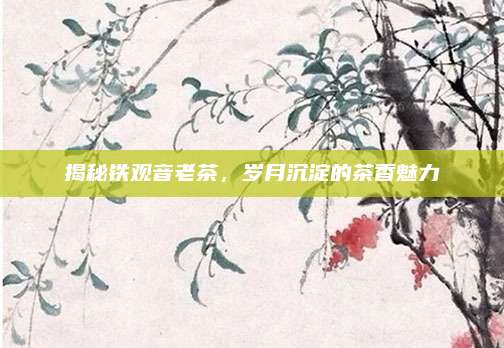 揭秘铁观音老茶,岁月沉淀的茶香魅力