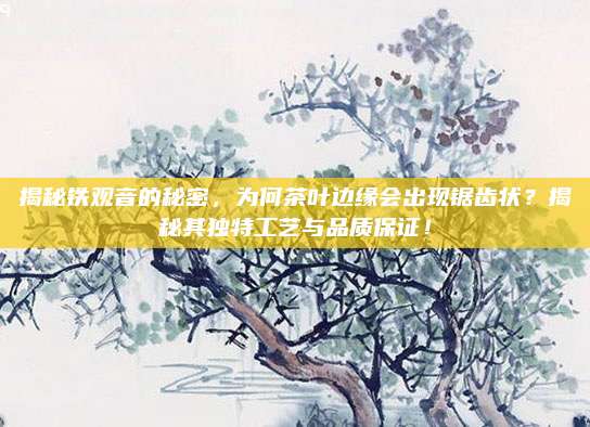 揭秘铁观音的秘密,为何茶叶边缘会出现锯齿状?揭秘其独特工艺与品质保证!