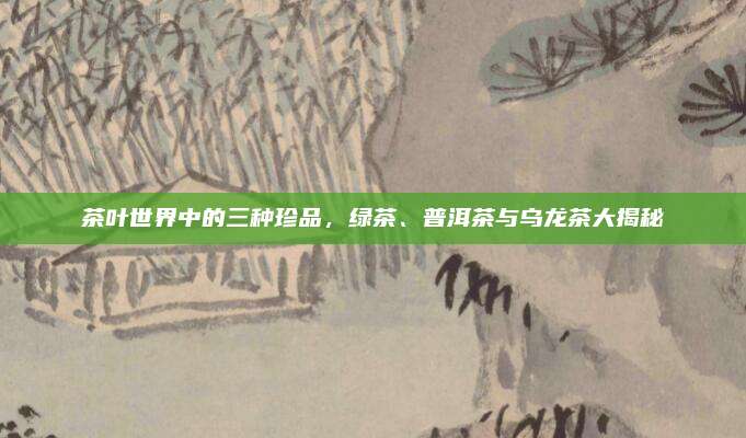 茶叶世界中的三种珍品，绿茶、普洱茶与乌龙茶大揭秘