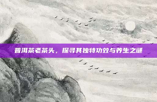 普洱茶老茶头,探寻其独特功效与养生之谜
