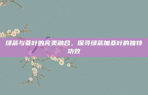 绿茶与桑叶的完美融合，探寻绿茶加桑叶的独特功效