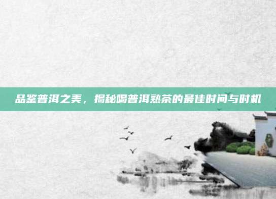 品鉴普洱之美,揭秘喝普洱熟茶的最佳时间与时机