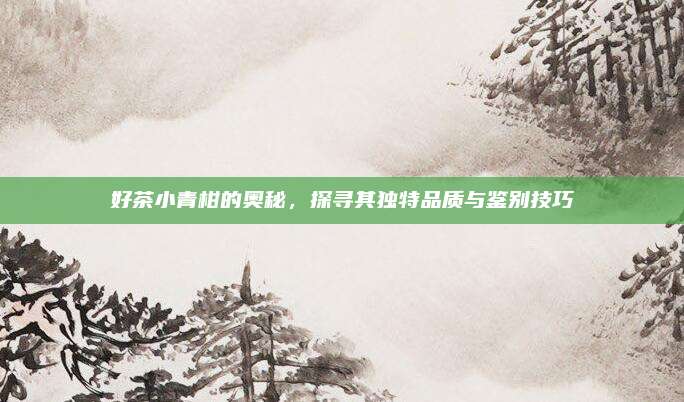好茶小青柑的奥秘,探寻其独特品质与鉴别技巧