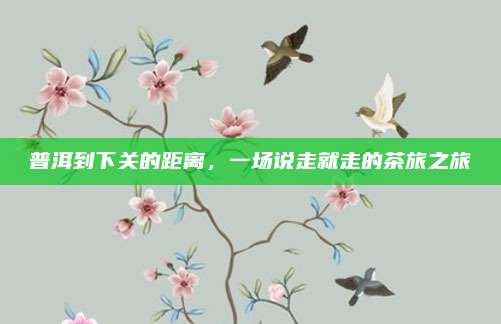 普洱到下关的距离，一场说走就走的茶旅之旅