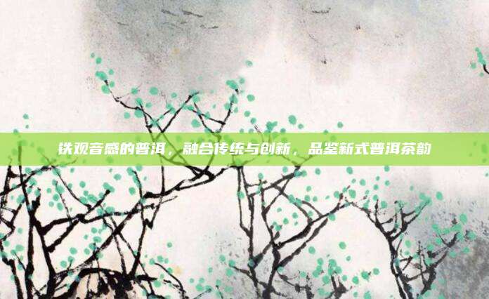 铁观音感的普洱，融合传统与创新，品鉴新式普洱茶韵