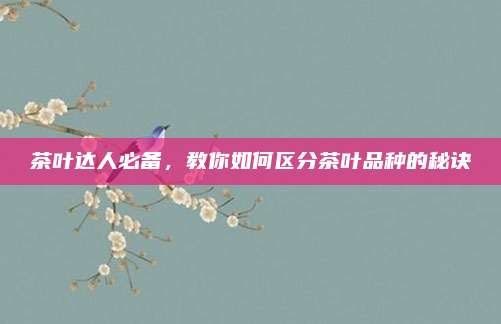 茶叶达人必备,教你如何区分茶叶品种的秘诀