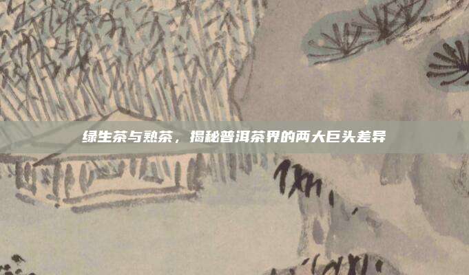 绿生茶与熟茶,揭秘普洱茶界的两大巨头差异