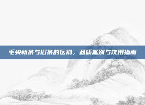 毛尖新茶与旧茶的区别，品质鉴别与饮用指南