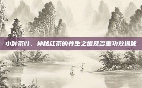 小种茶叶,神秘红茶的养生之道及多重功效揭秘