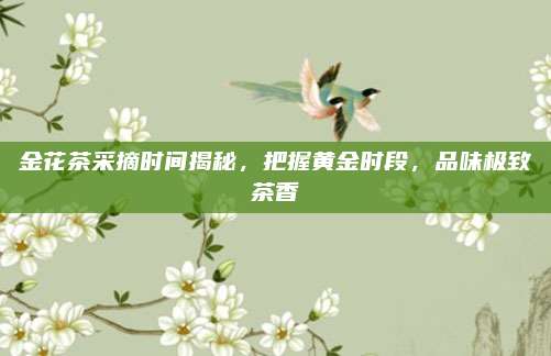 金花茶采摘时间揭秘，把握黄金时段，品味极致茶香