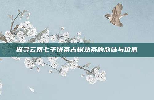 探寻云南七子饼茶古树熟茶的韵味与价值