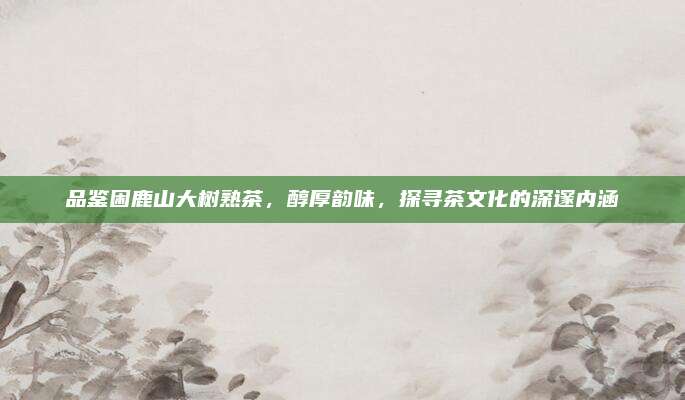 品鉴困鹿山大树熟茶，醇厚韵味，探寻茶文化的深邃内涵