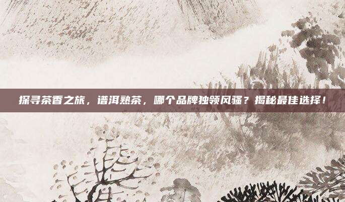 探寻茶香之旅，谱洱熟茶，哪个品牌独领风骚？揭秘最佳选择！