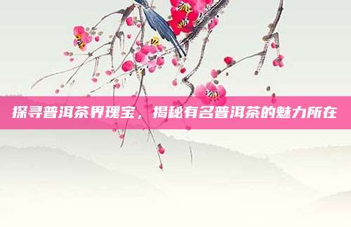 探寻普洱茶界瑰宝，揭秘有名普洱茶的魅力所在
