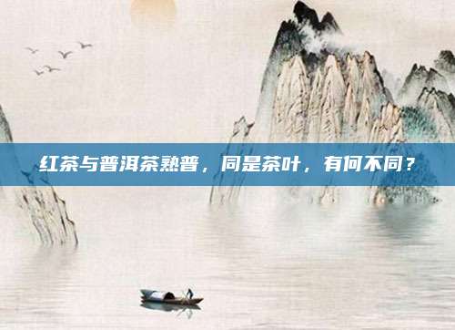 红茶与普洱茶熟普，同是茶叶，有何不同？