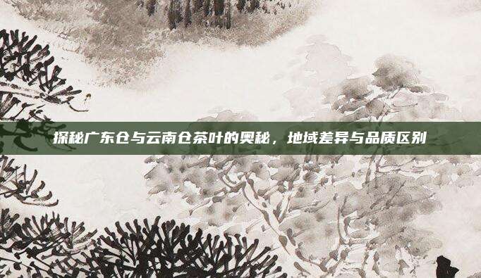 探秘广东仓与云南仓茶叶的奥秘，地域差异与品质区别