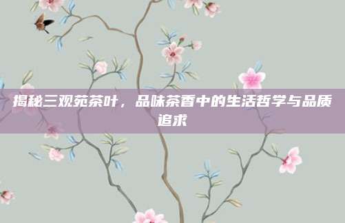 揭秘三观苑茶叶，品味茶香中的生活哲学与品质追求